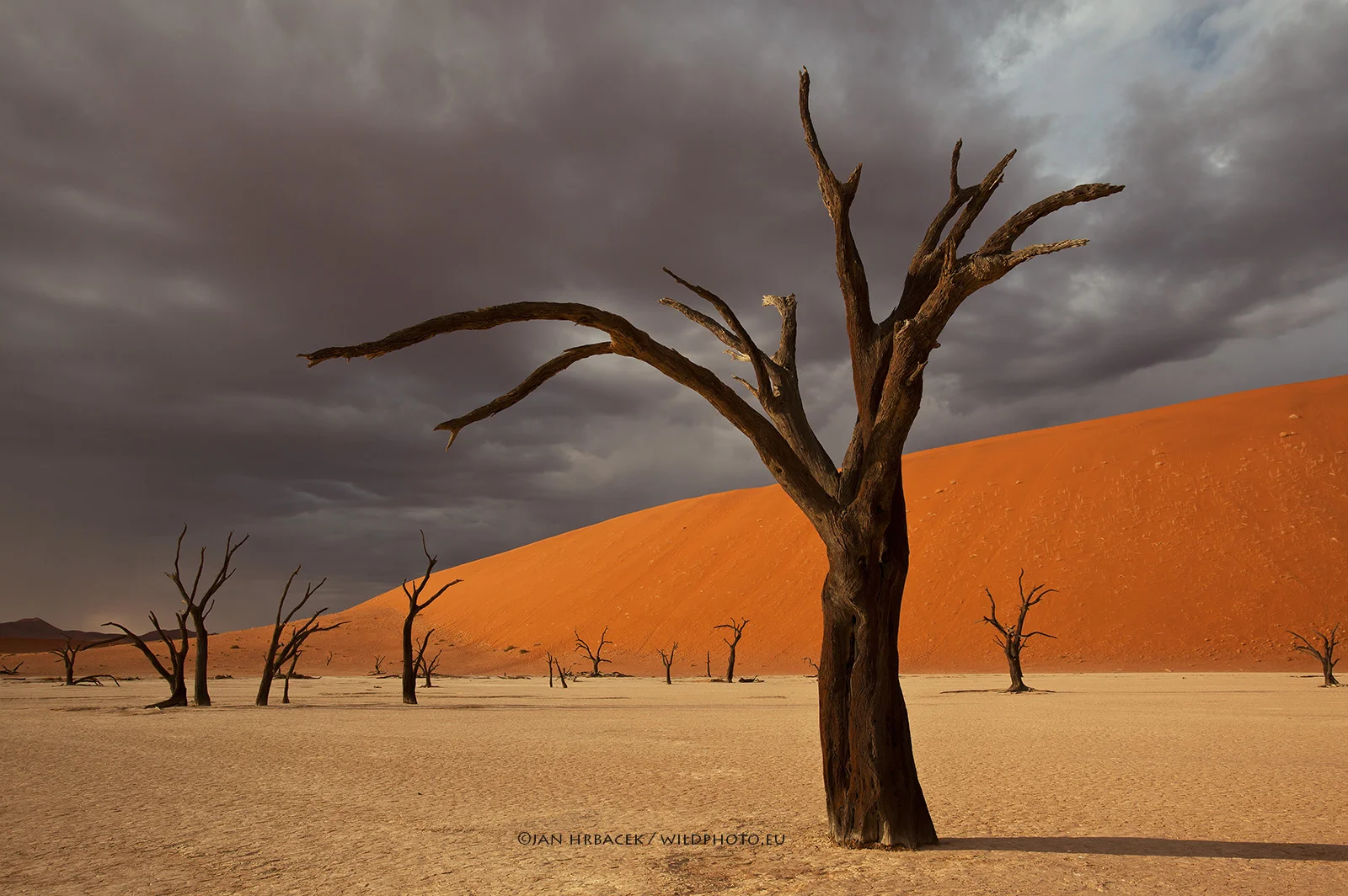 Dead Vlei, Namibie